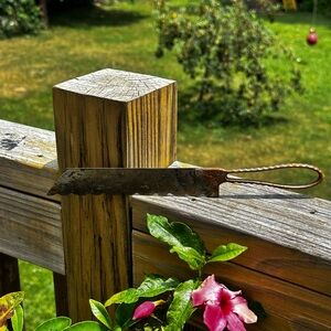 Antique CLAUSS Freemont Ohio Serrated Knife Scalloped Edge 1800s Bone Saw